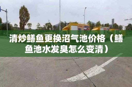 清炒鳝鱼更换沼气池价格（鳝鱼池水发臭怎么变清）