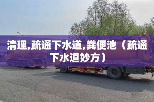 清理,疏通下水道,粪便池（疏通下水道妙方）
