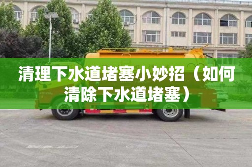 清理下水道堵塞小妙招（如何清除下水道堵塞）