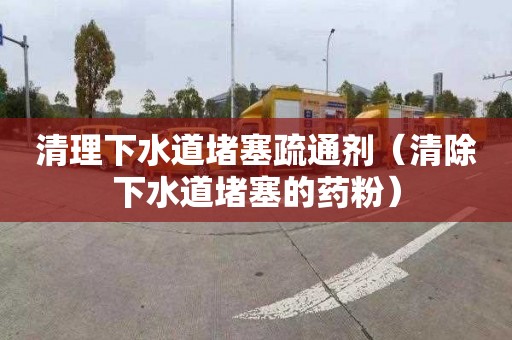 清理下水道堵塞疏通剂（清除下水道堵塞的药粉）