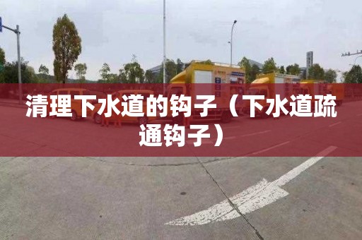 清理下水道的钩子（下水道疏通钩子）