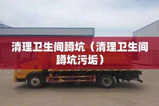 清理卫生间蹲坑（清理卫生间蹲坑污垢）