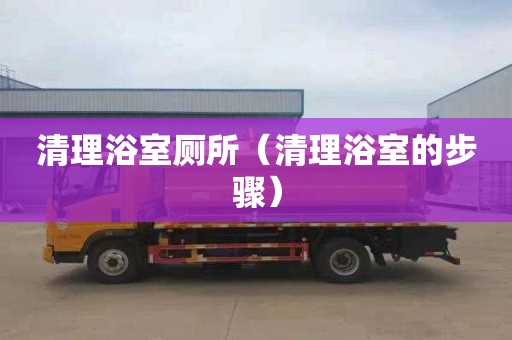 清理浴室厕所（清理浴室的步骤）