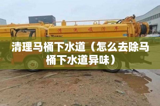 清理马桶下水道（怎么去除马桶下水道异味）