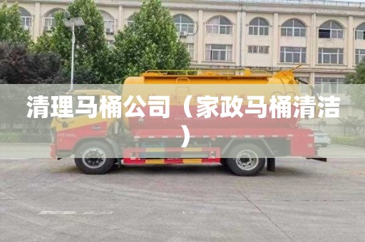 清理马桶公司（家政马桶清洁）
