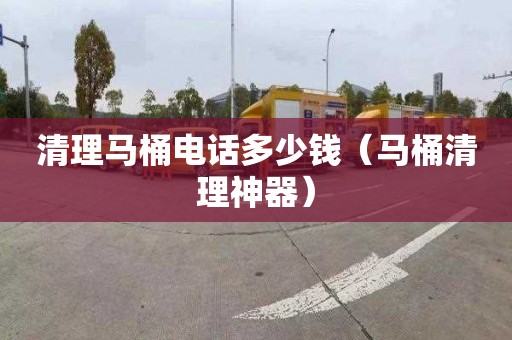 清理马桶电话多少钱（马桶清理神器）