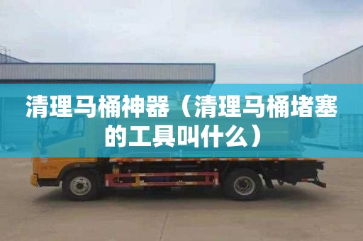 清理马桶神器（清理马桶堵塞的工具叫什么）