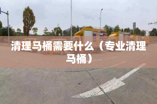 清理马桶需要什么（专业清理马桶）