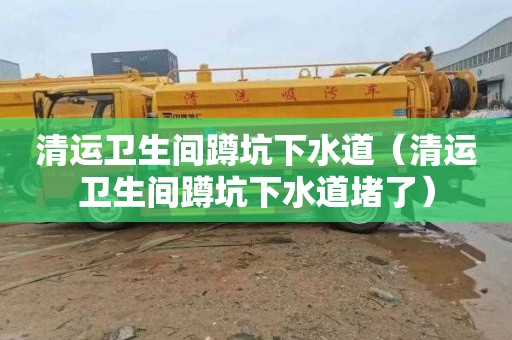 清运卫生间蹲坑下水道（清运卫生间蹲坑下水道堵了）