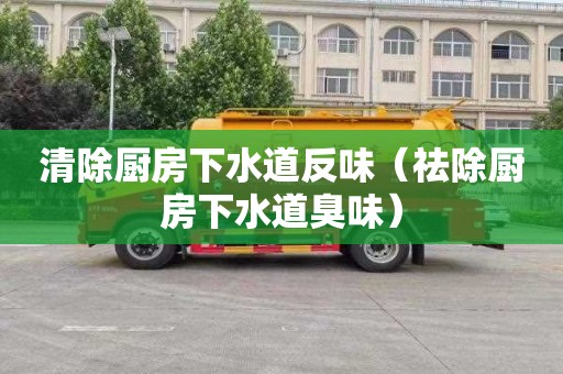 清除厨房下水道反味（祛除厨房下水道臭味）