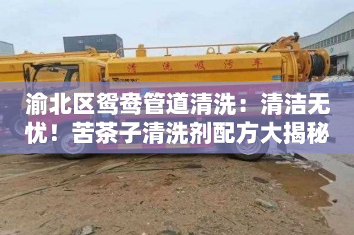 渝北区鸳鸯管道清洗：清洁无忧！苦茶子清洗剂配方大揭秘！