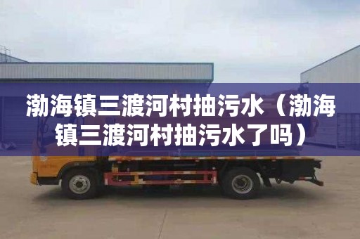 渤海镇三渡河村抽污水（渤海镇三渡河村抽污水了吗）