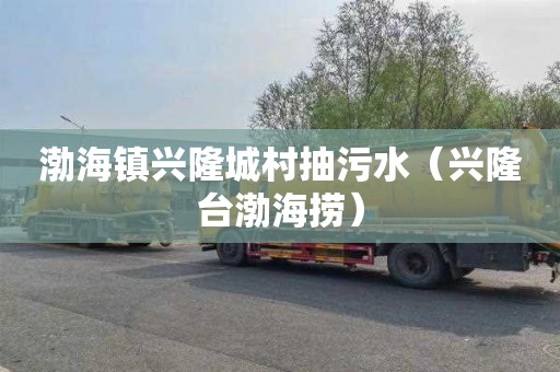 渤海镇兴隆城村抽污水（兴隆台渤海捞）