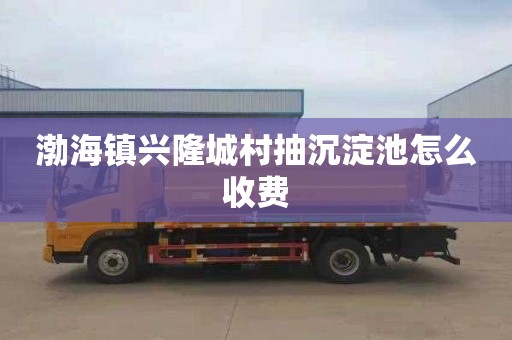 渤海镇兴隆城村抽沉淀池怎么收费