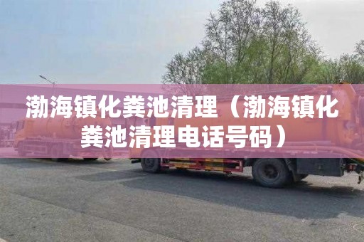 渤海镇化粪池清理（渤海镇化粪池清理电话号码）