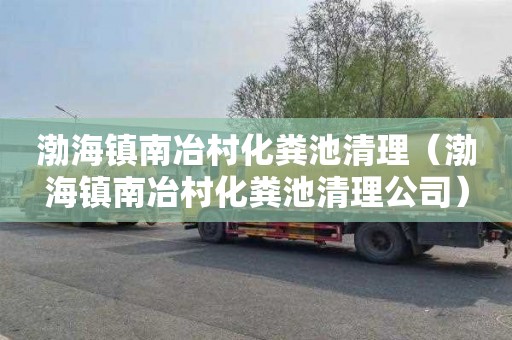 渤海镇南冶村化粪池清理（渤海镇南冶村化粪池清理公司）