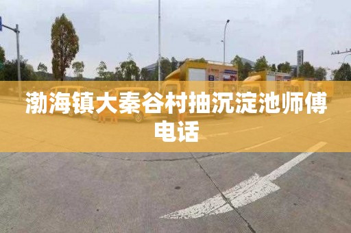 渤海镇大秦谷村抽沉淀池师傅电话