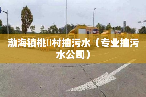 渤海镇桃硲村抽污水（专业抽污水公司）