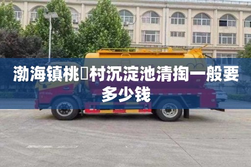 渤海镇桃硲村沉淀池清掏一般要多少钱