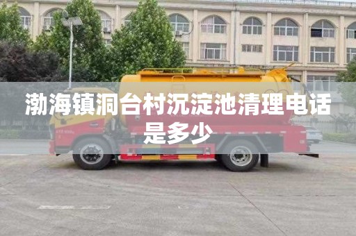 渤海镇洞台村沉淀池清理电话是多少