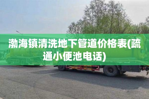 渤海镇清洗地下管道价格表(疏通小便池电话)