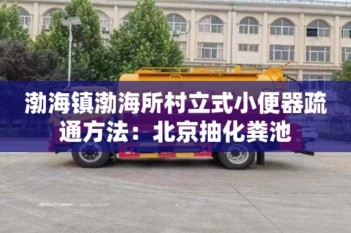 渤海镇渤海所村立式小便器疏通方法：北京抽化粪池