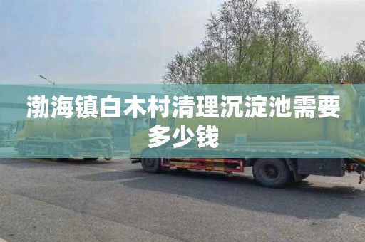 渤海镇白木村清理沉淀池需要多少钱