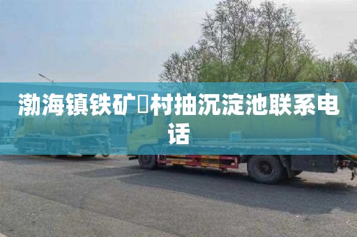 渤海镇铁矿硲村抽沉淀池联系电话