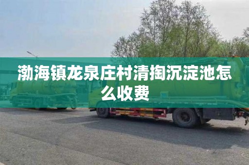渤海镇龙泉庄村清掏沉淀池怎么收费