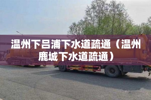 温州下吕浦下水道疏通（温州鹿城下水道疏通）
