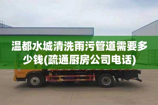温都水城清洗雨污管道需要多少钱(疏通厨房公司电话)