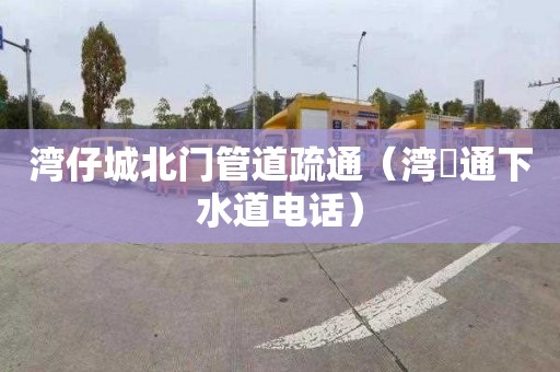 湾仔城北门管道疏通（湾沚通下水道电话）