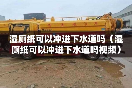 湿厕纸可以冲进下水道吗（湿厕纸可以冲进下水道吗视频）