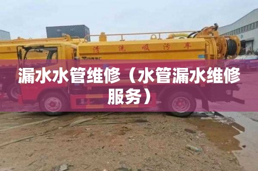 漏水水管维修（水管漏水维修服务）