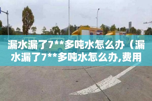 漏水漏了7**多吨水怎么办（漏水漏了7**多吨水怎么办,费用怎么处理）