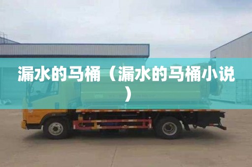 漏水的马桶（漏水的马桶小说）