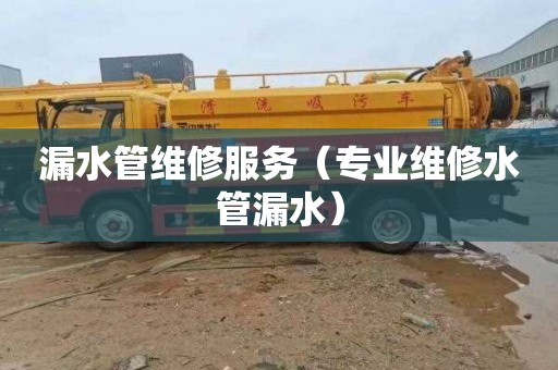漏水管维修服务（专业维修水管漏水）