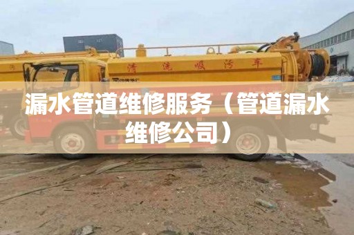 漏水管道维修服务（管道漏水维修公司）