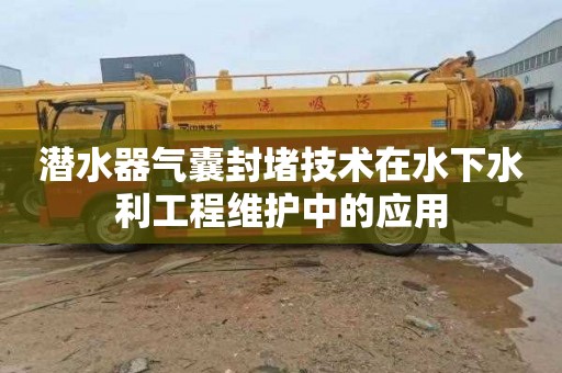 潜水器气囊封堵技术在水下水利工程维护中的应用