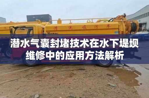 潜水气囊封堵技术在水下堤坝维修中的应用方法解析