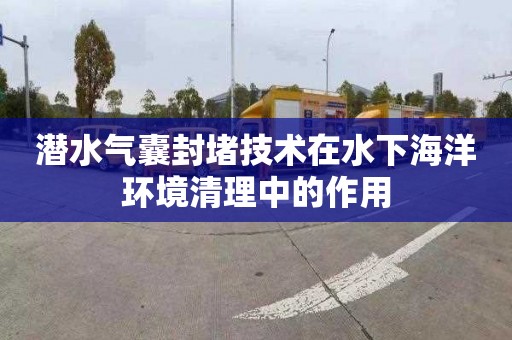 潜水气囊封堵技术在水下海洋环境清理中的作用