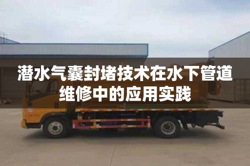 潜水气囊封堵技术在水下管道维修中的应用实践