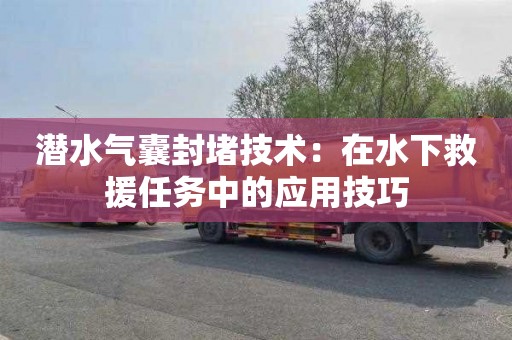 潜水气囊封堵技术：在水下救援任务中的应用技巧