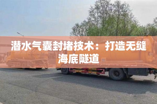 潜水气囊封堵技术：打造无缝海底隧道