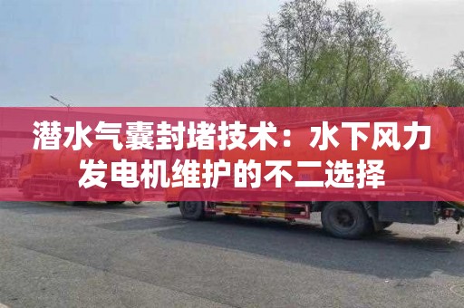 潜水气囊封堵技术：水下风力发电机维护的不二选择