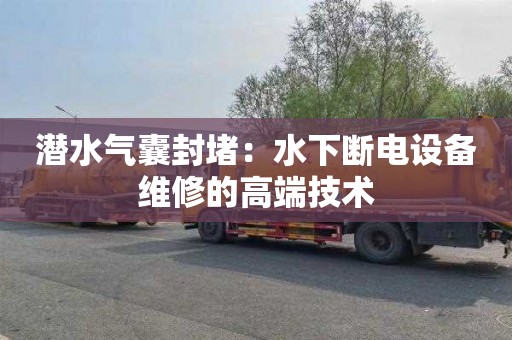潜水气囊封堵：水下断电设备维修的高端技术