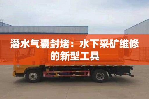 潜水气囊封堵：水下采矿维修的新型工具