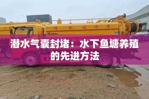 潜水气囊封堵：水下鱼塘养殖的先进方法