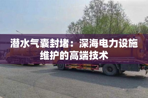 潜水气囊封堵：深海电力设施维护的高端技术