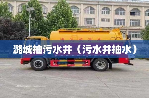 潞城抽污水井（污水井抽水）